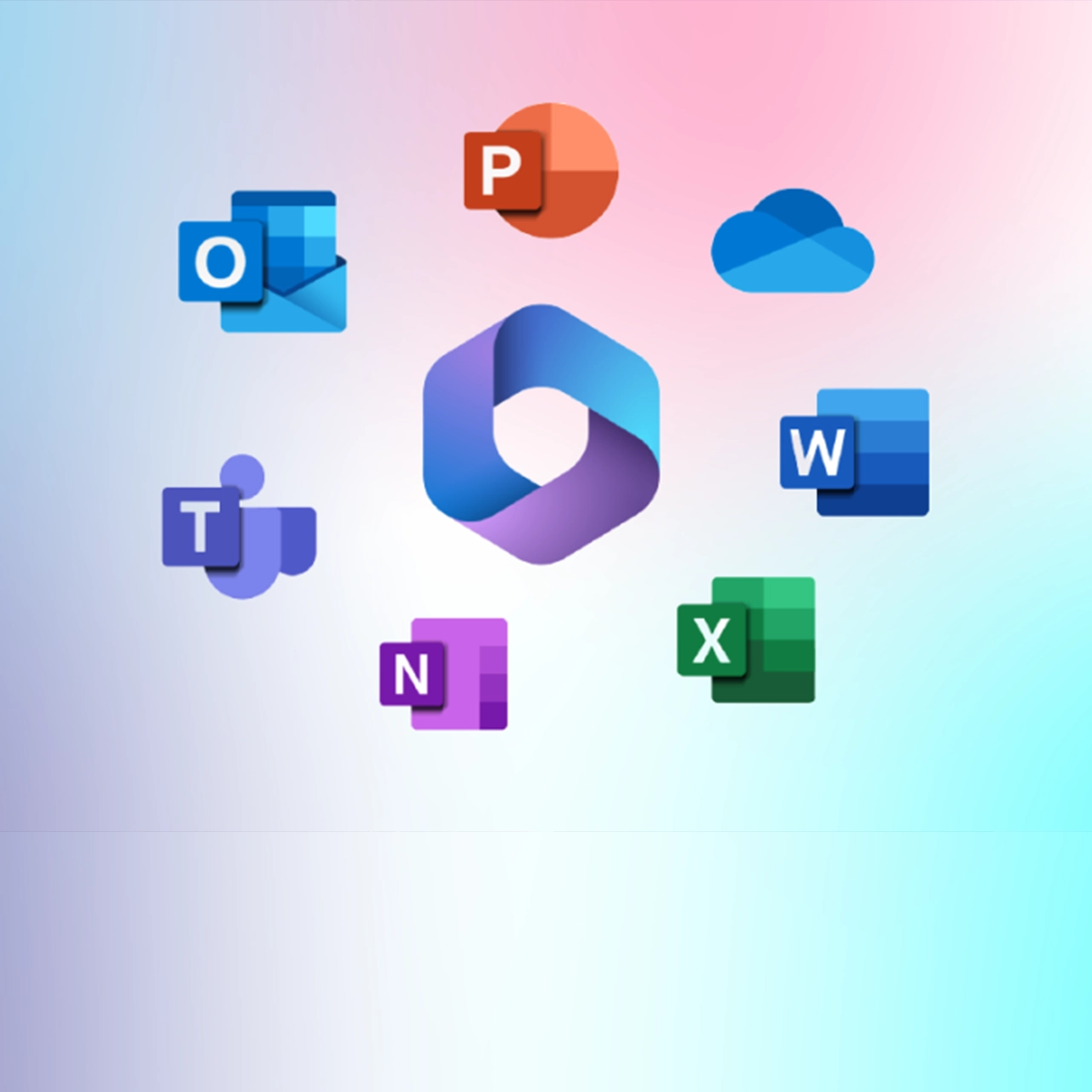 portfolio img